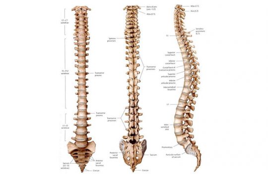 MIKROSURGIAL TECHNIQUE in LUMBAR DISC HERNIATION – Op. Dr. Çağatay KEMERLİ